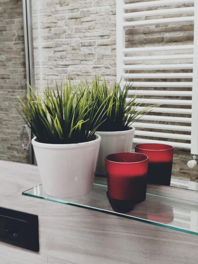 Elegant Apartment In Inner City At Vatican - Netflix And Optical Fiber 로마 외부 사진